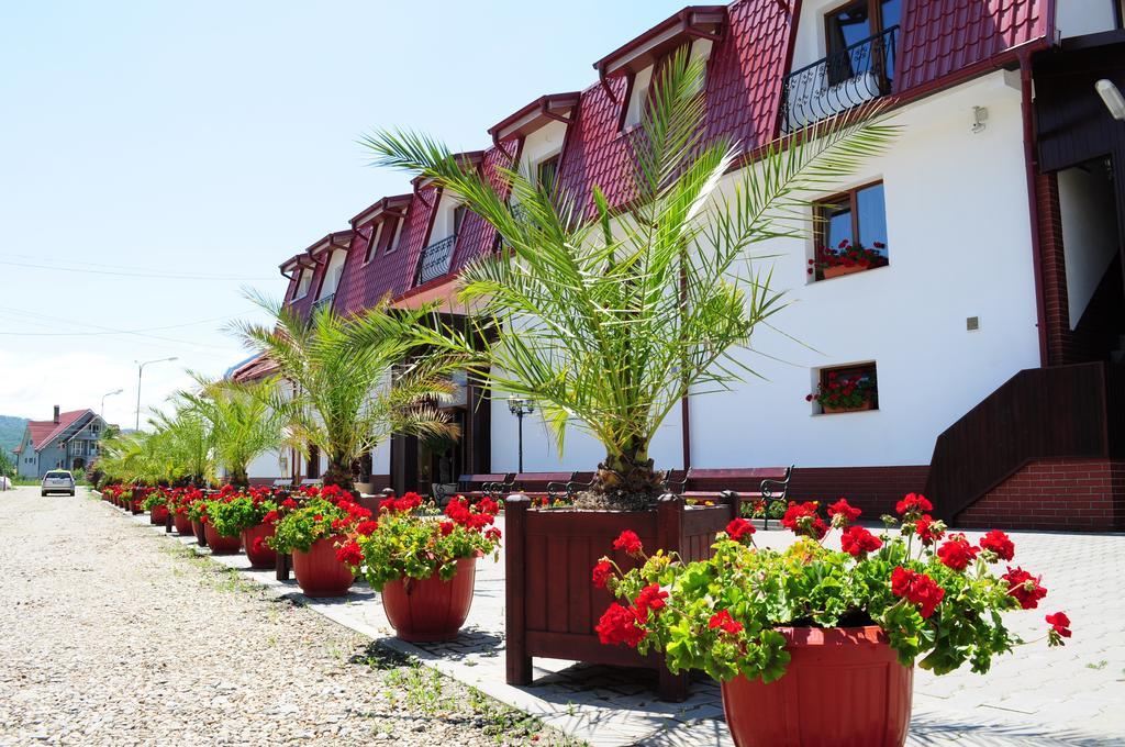 Pensiunea Terra Bistriţa Exterior foto